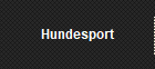 Hundesport